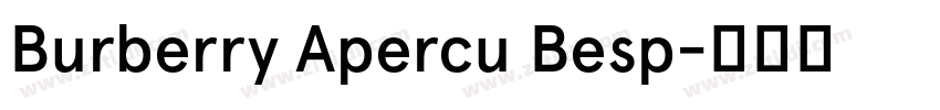 Burberry Apercu Besp字体转换
